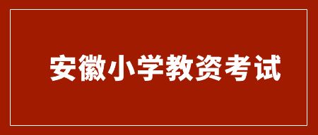 安徽小學(xué)數(shù)學(xué)教資要考什么科目？